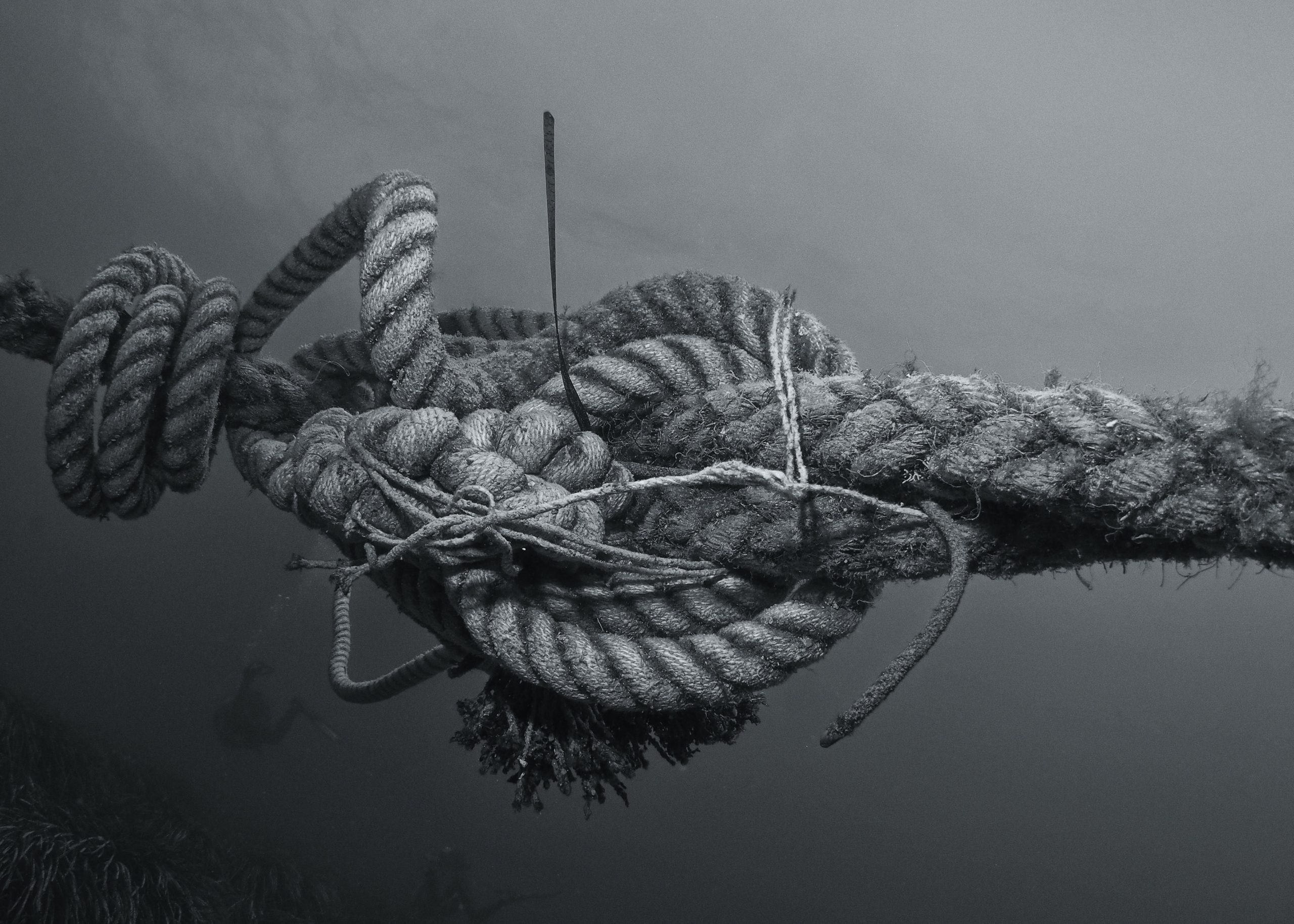 tangled rope representing vignettes